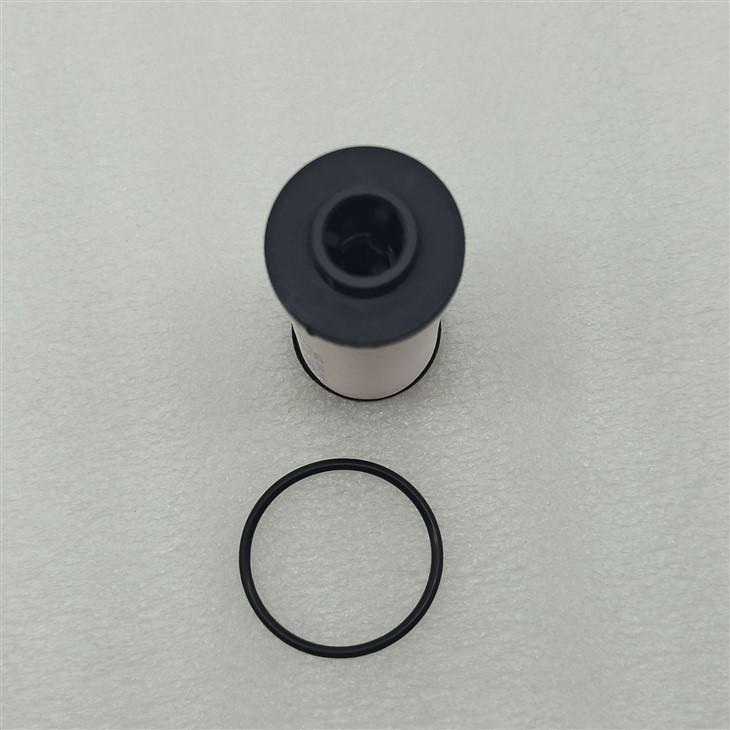 0B5-0005-AM-L Outer Filter With Ring 0B5 325 330 A 0B5 Auto Transmission