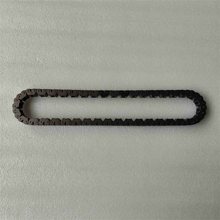 8F24-CHAI01-OEM Drive Chain J1KP7G249AA Heavy Duty Transmission Chain (Not For Pump)