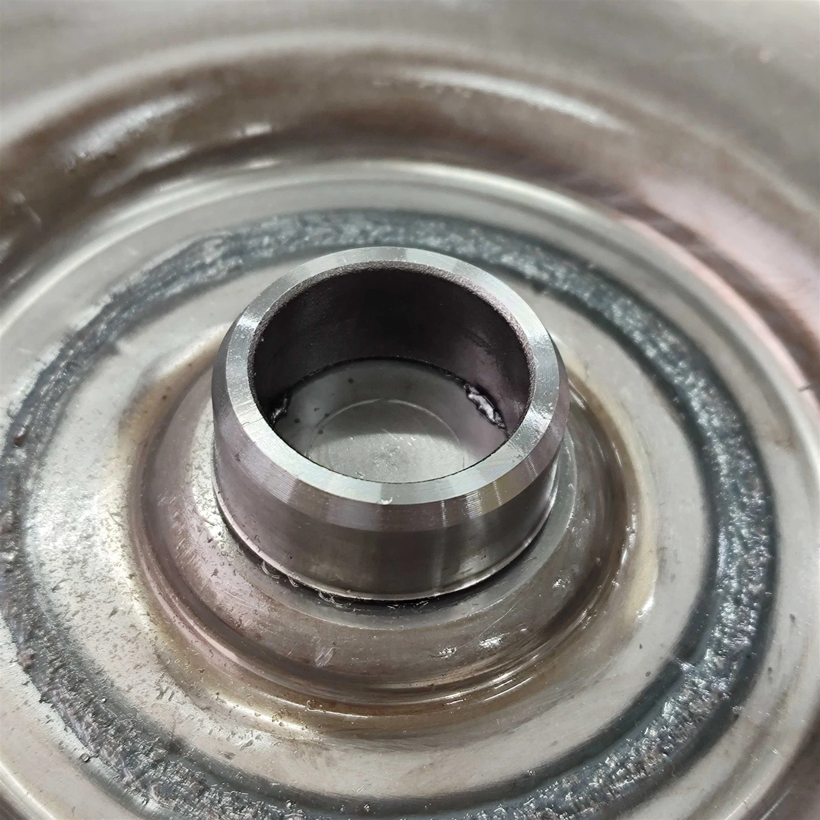 IMG20250303170335 IMG20250303170335