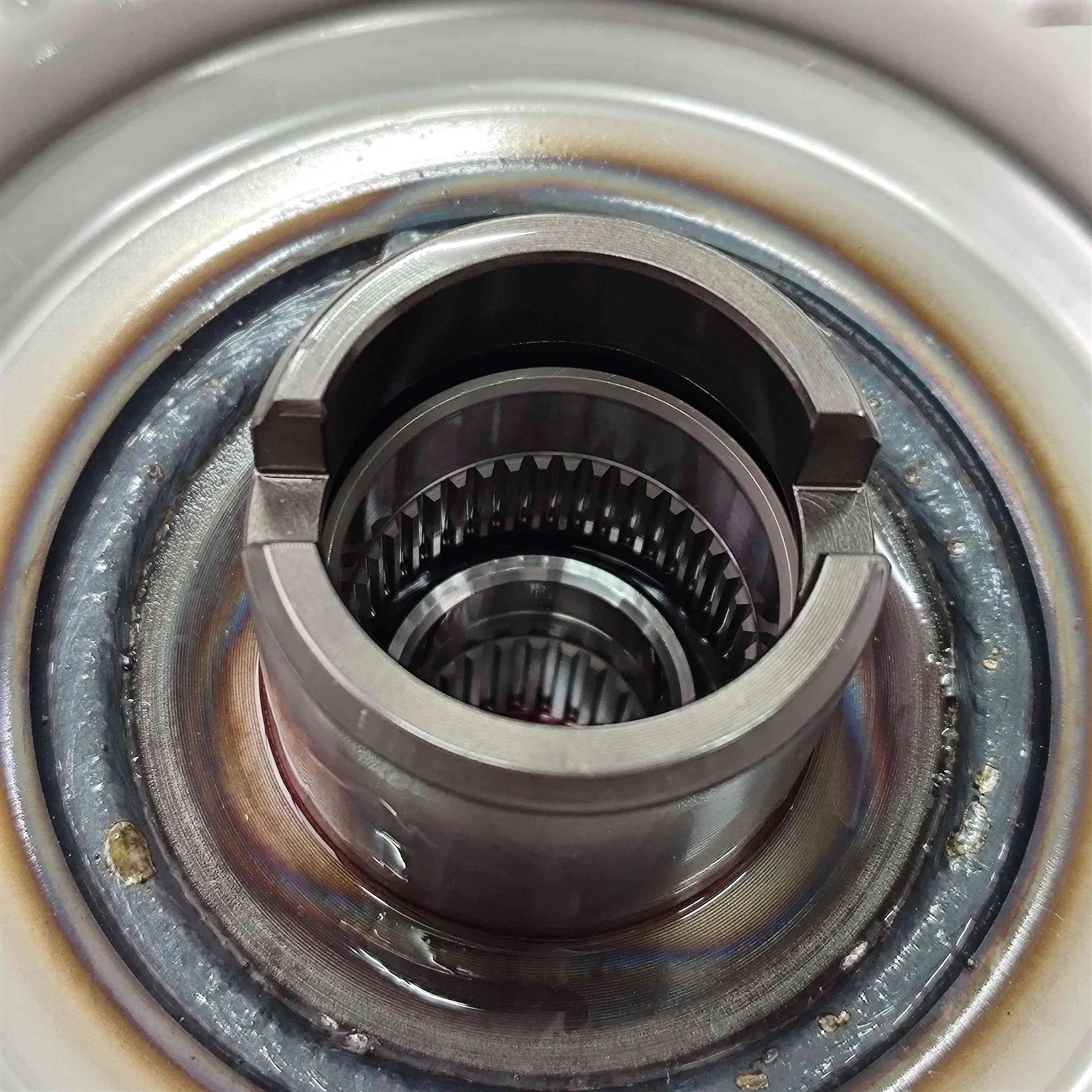 IMG20250303170304 IMG20250303170304